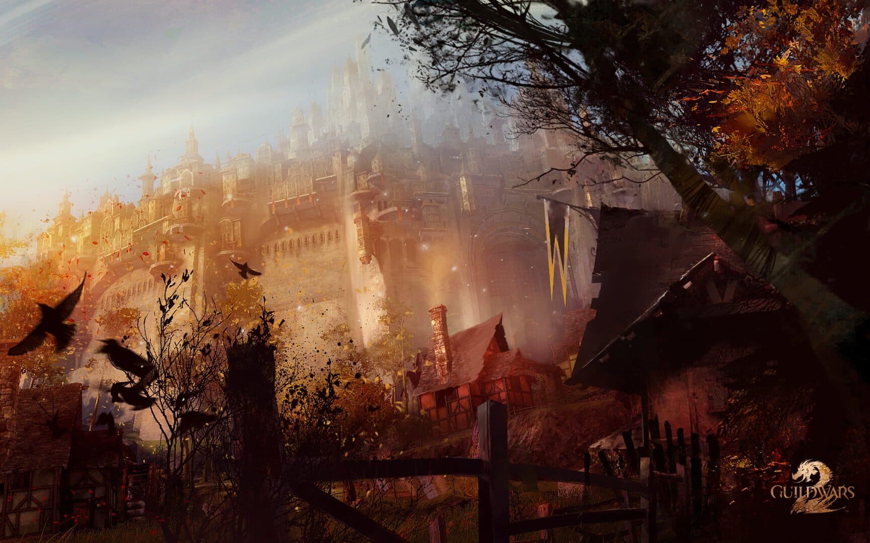 Jimothy, el mapache viral, se vuelve mascota en Guild Wars 2, WoW y AQ3D