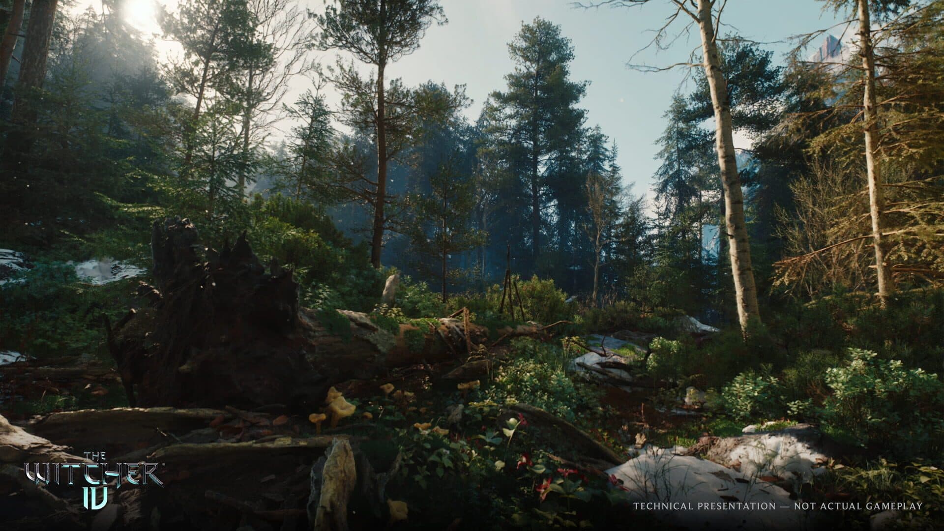 The move to Unreal Engine 5 aims for a bigger, denser world.